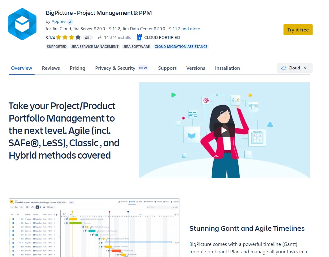 BigPicture - Project management & PPM
